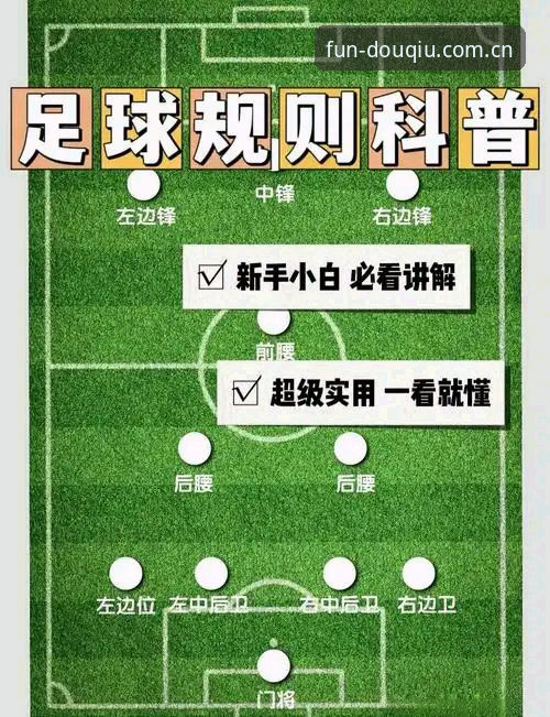 足球比分斗球官方版使用教程：从下载到实战一次讲透